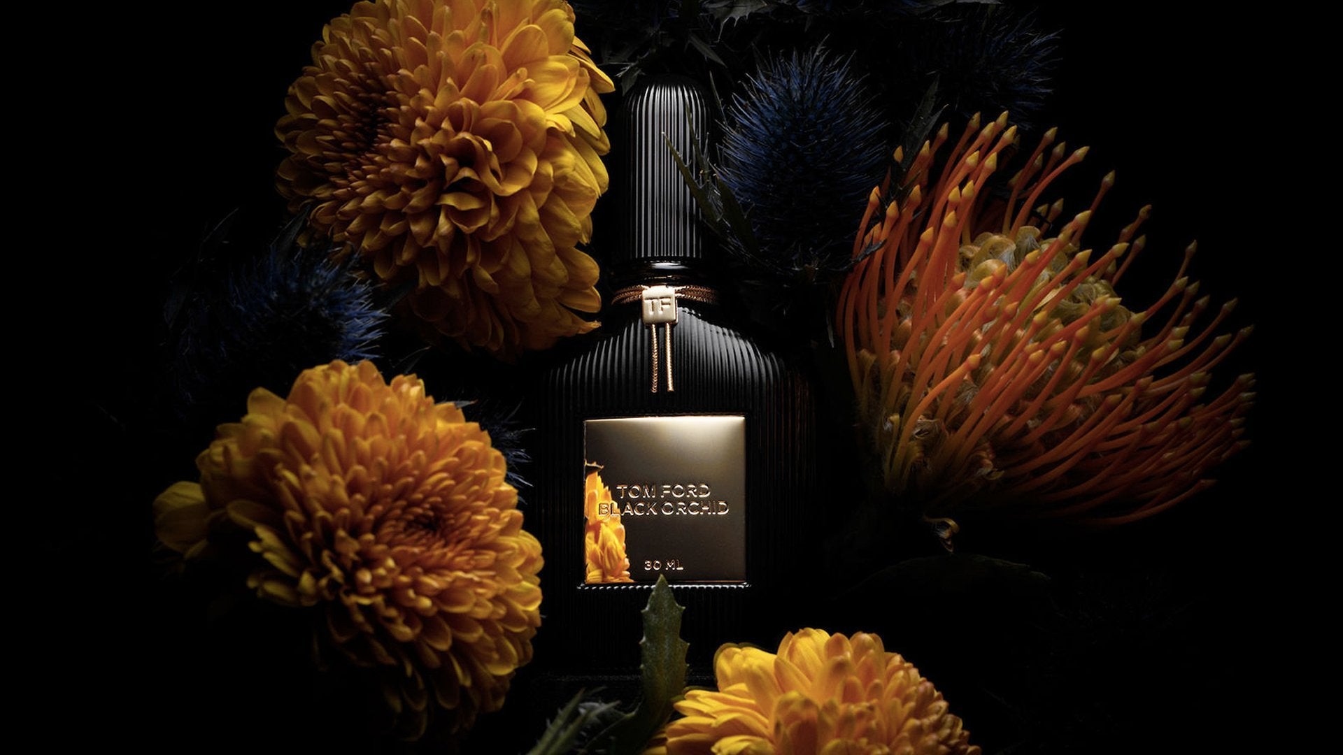 TOM FORD Velvet Orchid What\'s Orchid: Difference? the Black vs