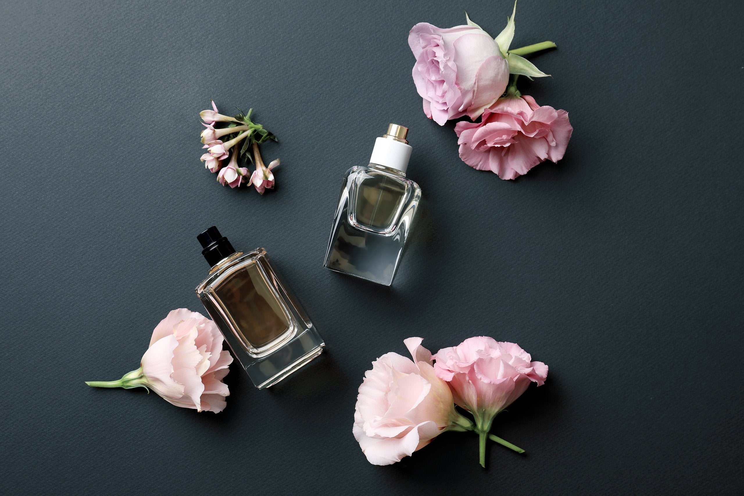 The Ultimate Guide to All Perfume Types - My Perfume Shop