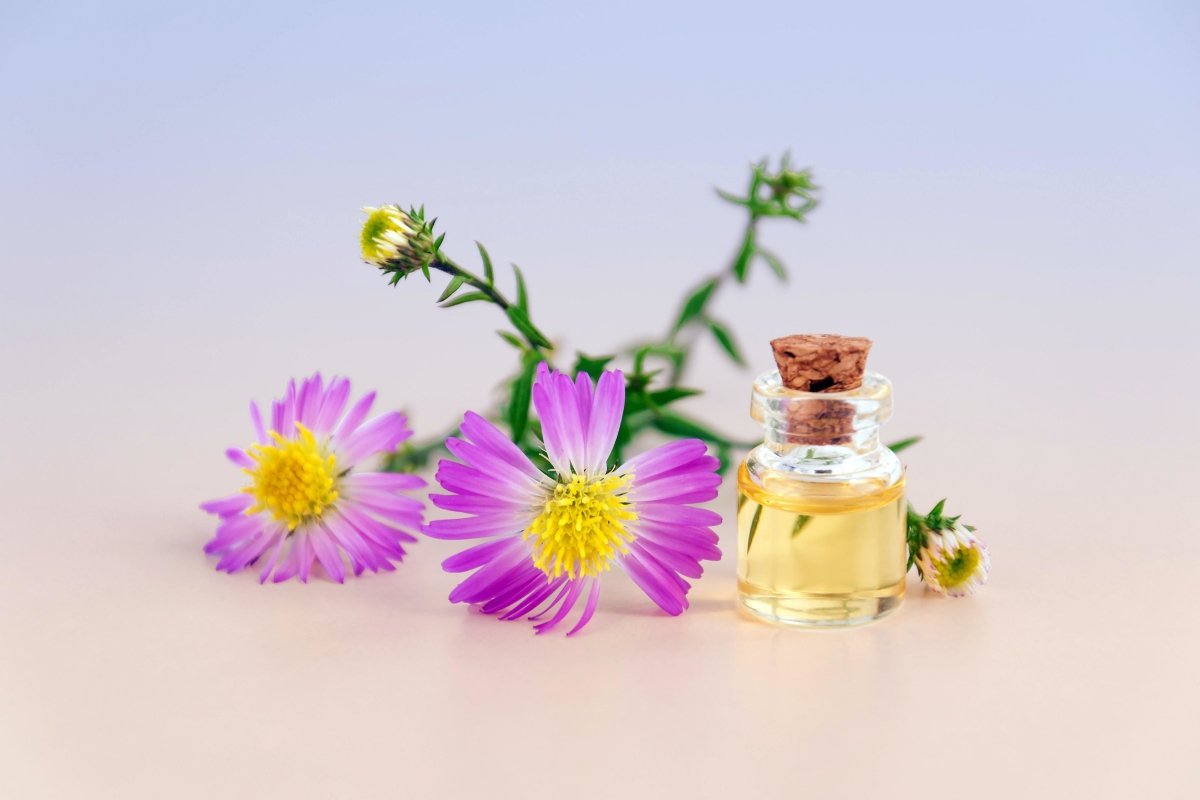 Top 5 Sexiest Women's Perfumes for Summer - My Perfume Shop