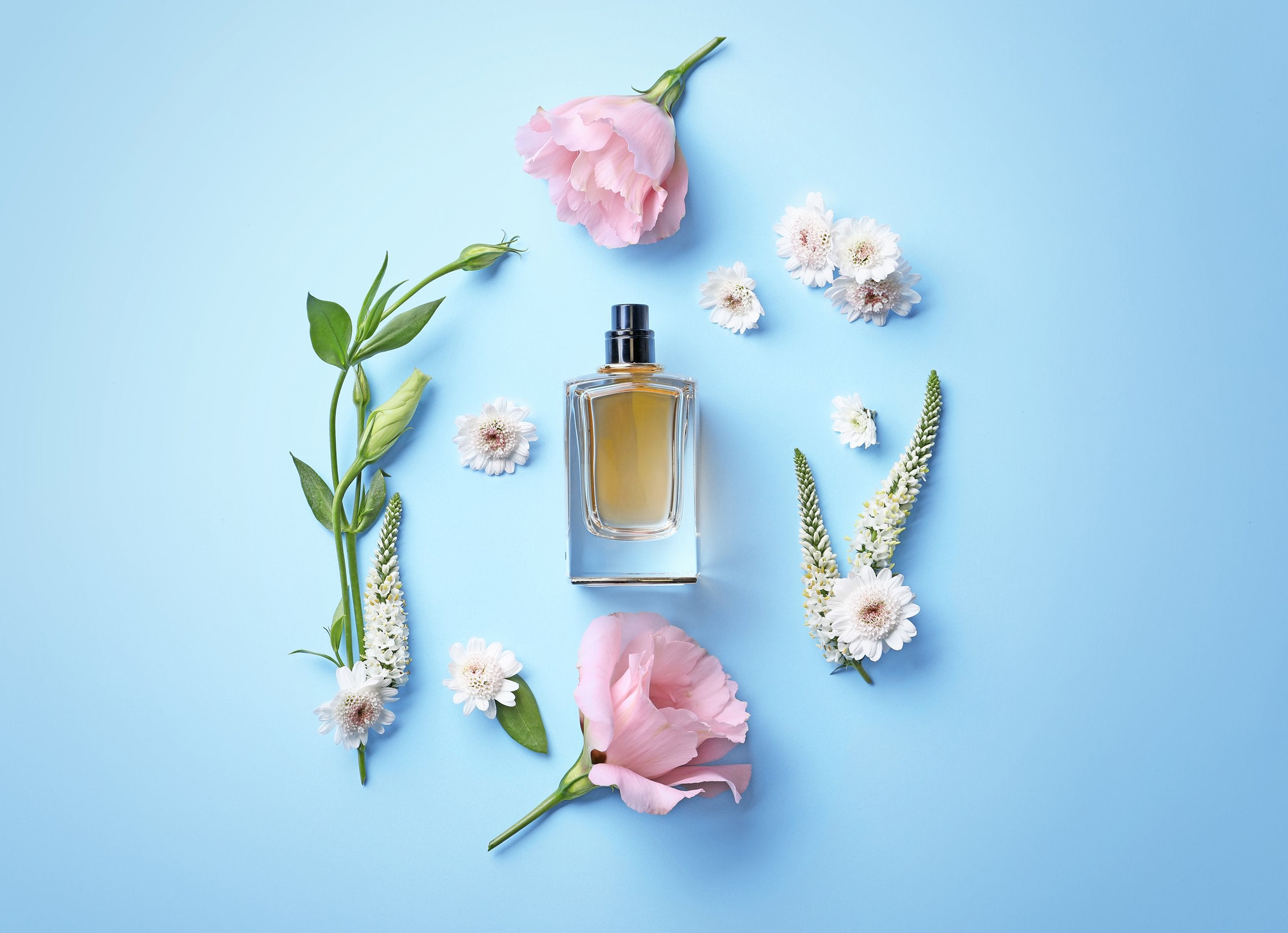 Best Place to Shop for Luxury and Niche Perfume Fragrances For Women | My Perfume Shop Australia