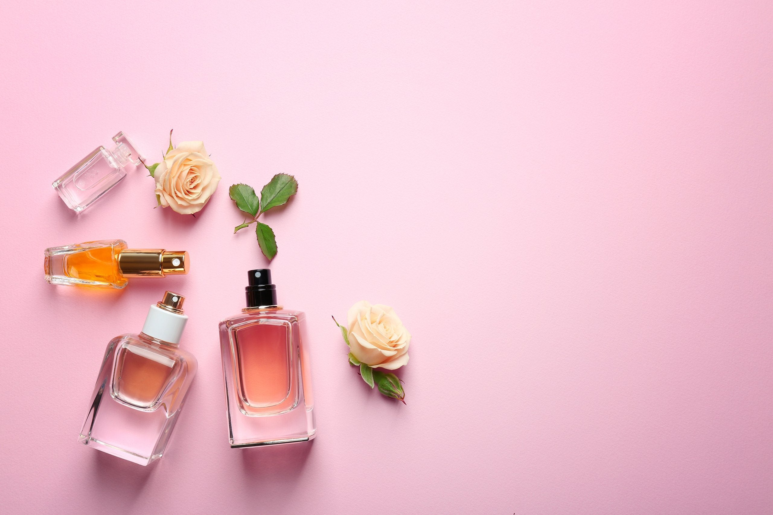 Bestselling Perfumes For Women | My Perfume Shop