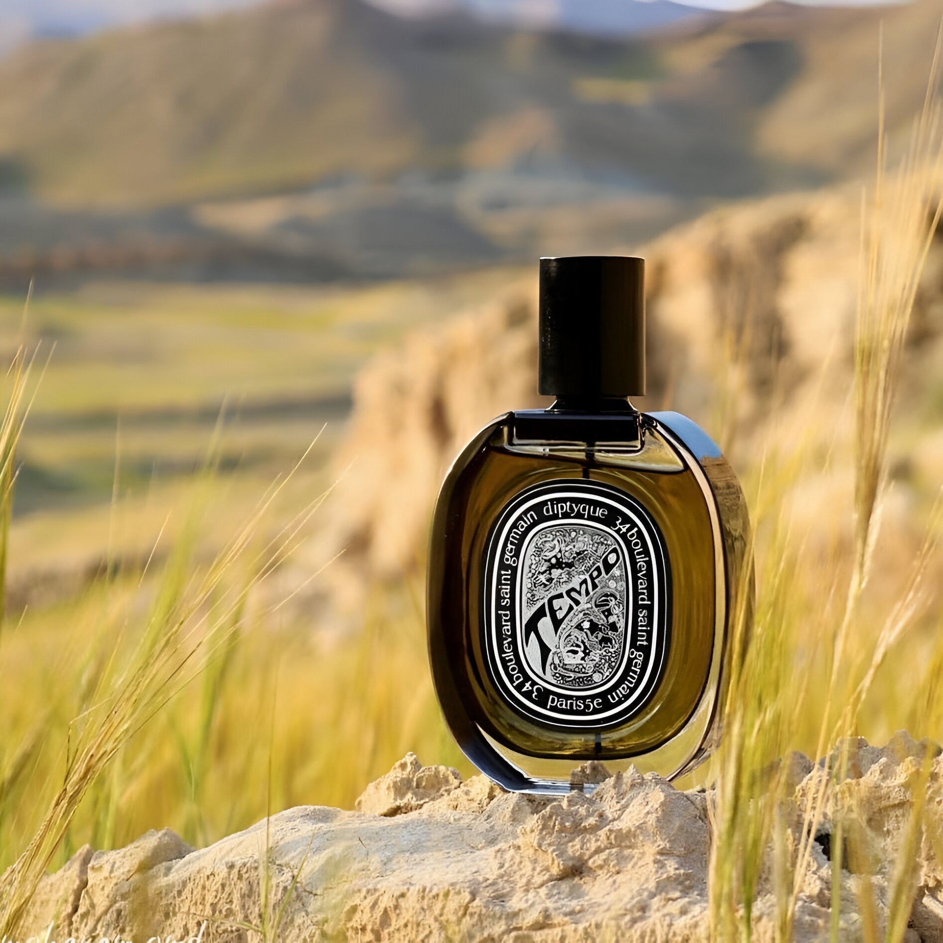 Shop Diptyque Tempo EDP in Australia