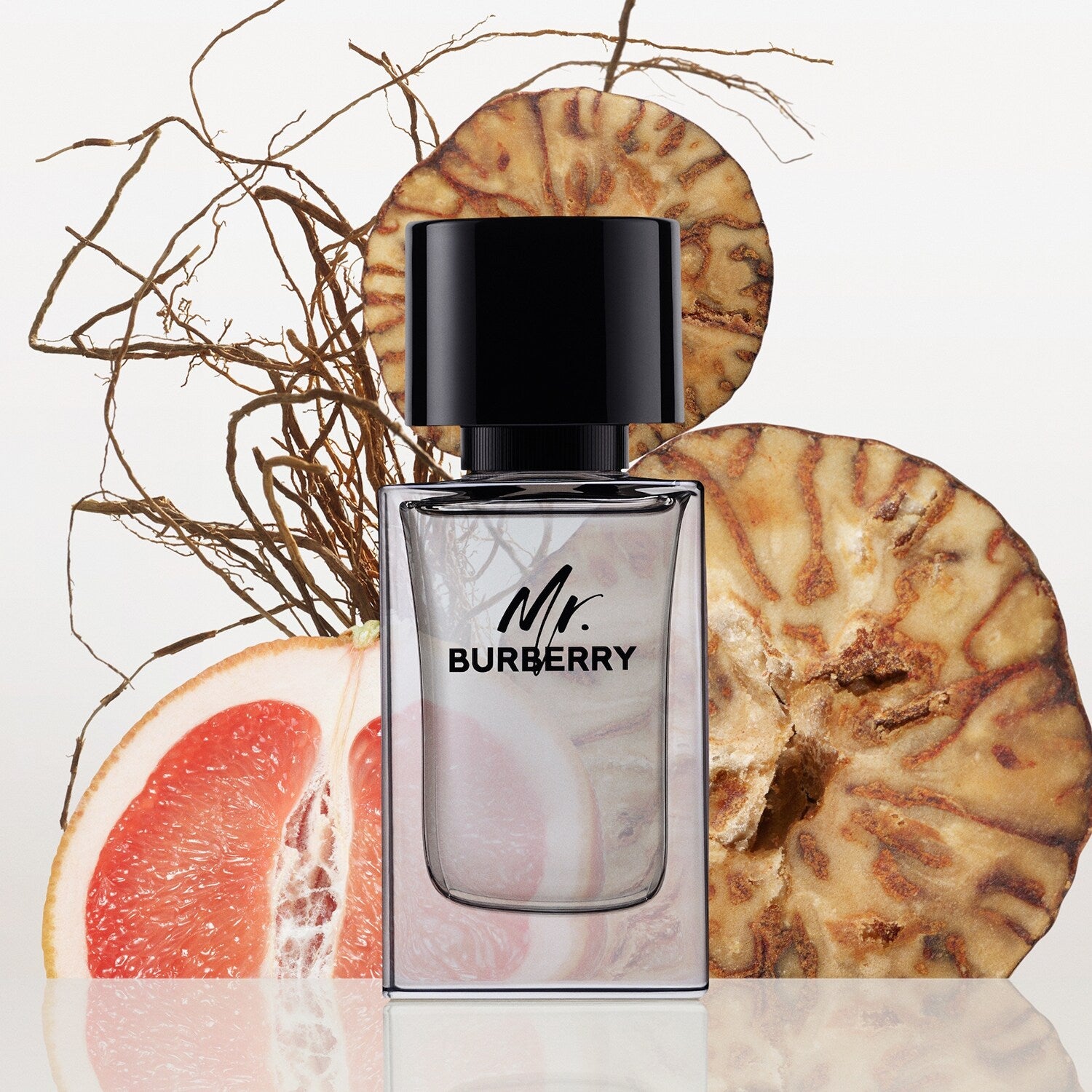 Shop Burberry Mr. Burberry EDT Travel Set