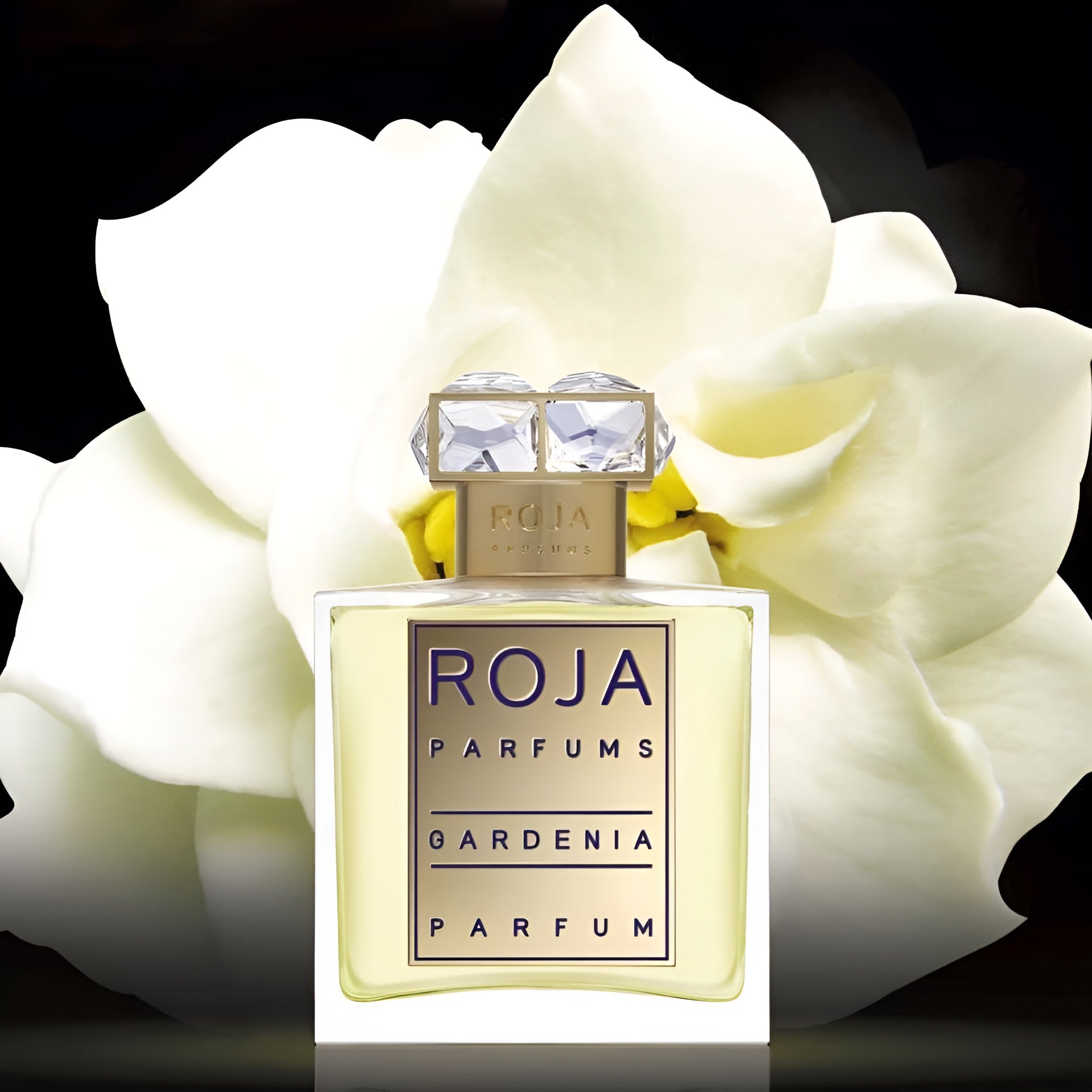 Roja gardenia pour femme Parfum high quality