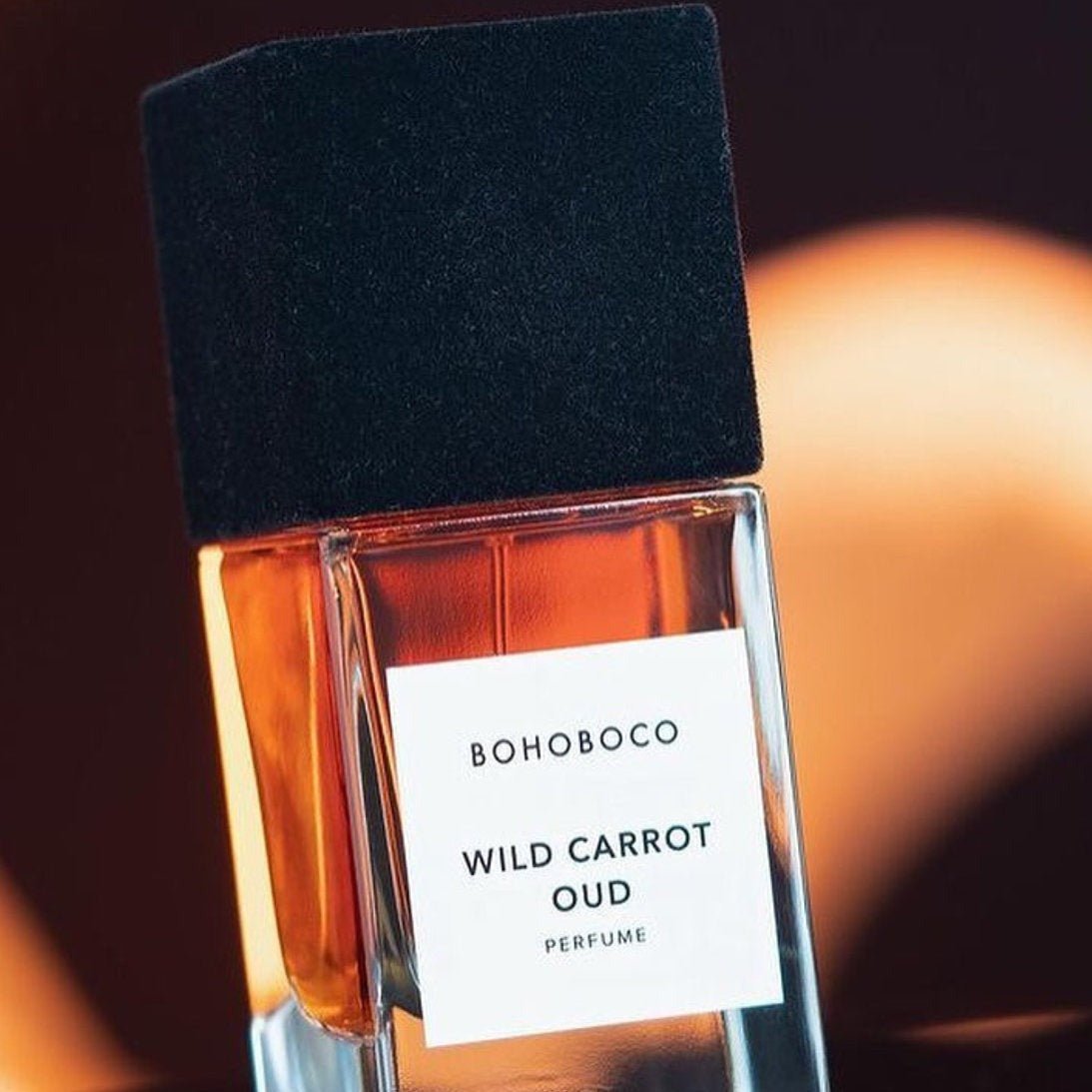 Bohoboco Wild Carrot Oud Perfume | My Perfume Shop