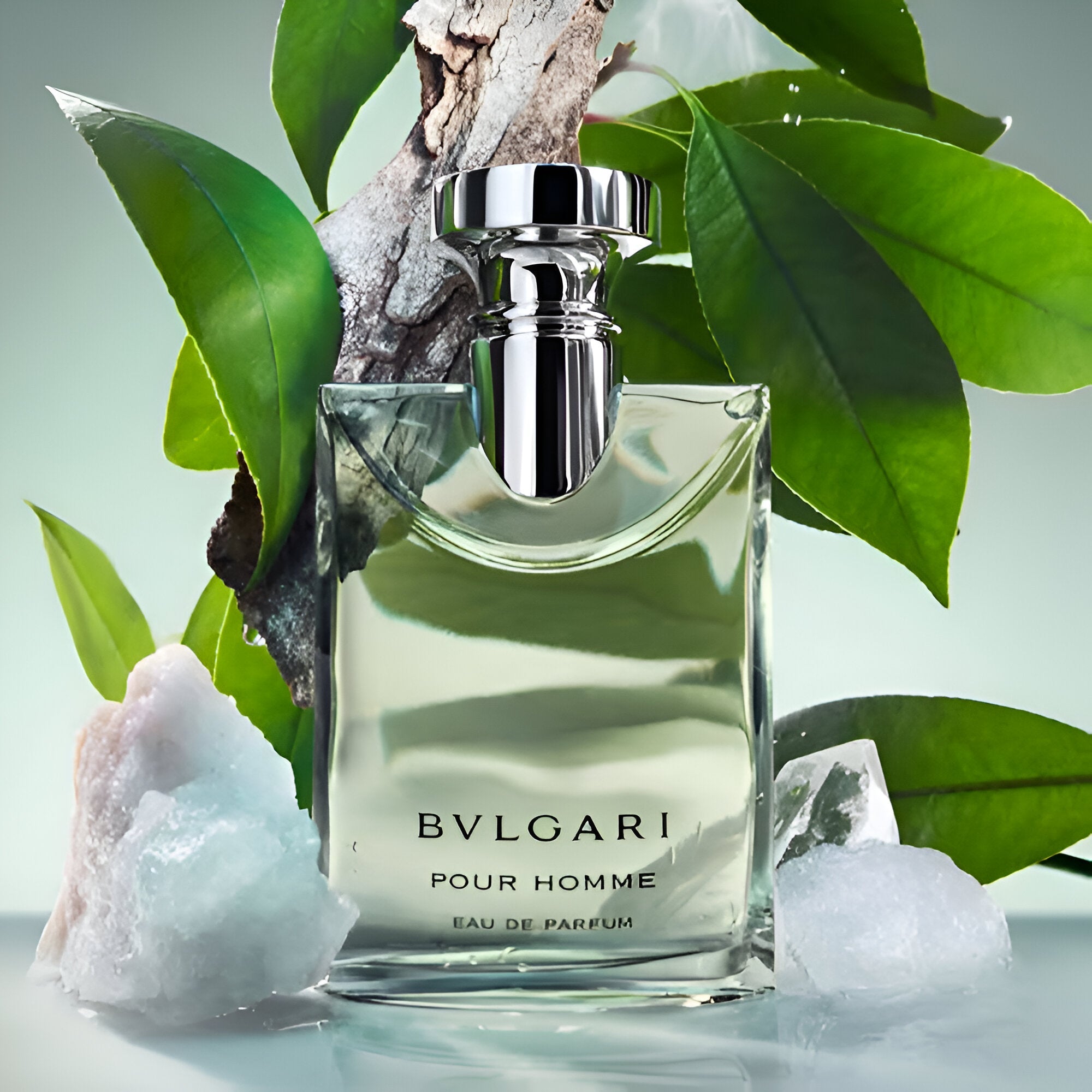 Bvlgari Pour Homme EDP | My Perfume Shop