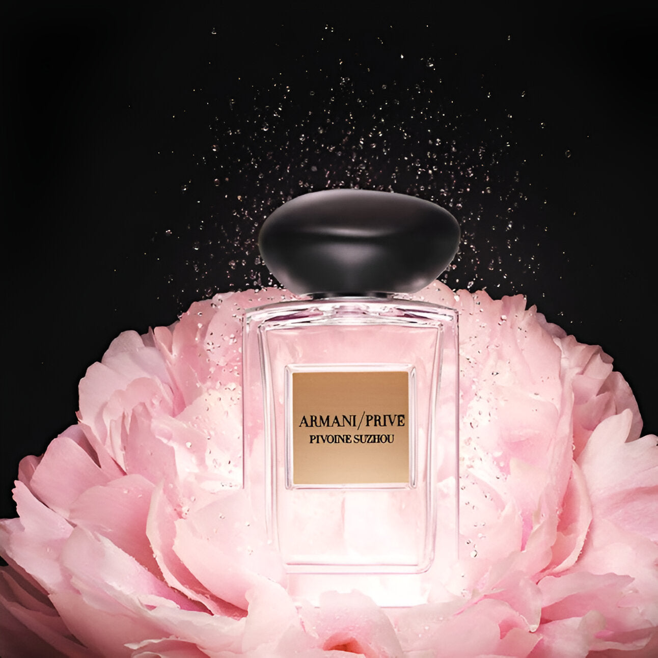 Shop Giorgio Armani Prive Pivoine Suzhou EDT in Australia