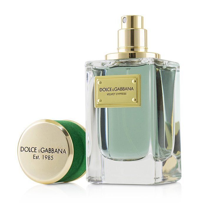 Dolce & Gabbana Velvet Cypress EDP | My Perfume Shop