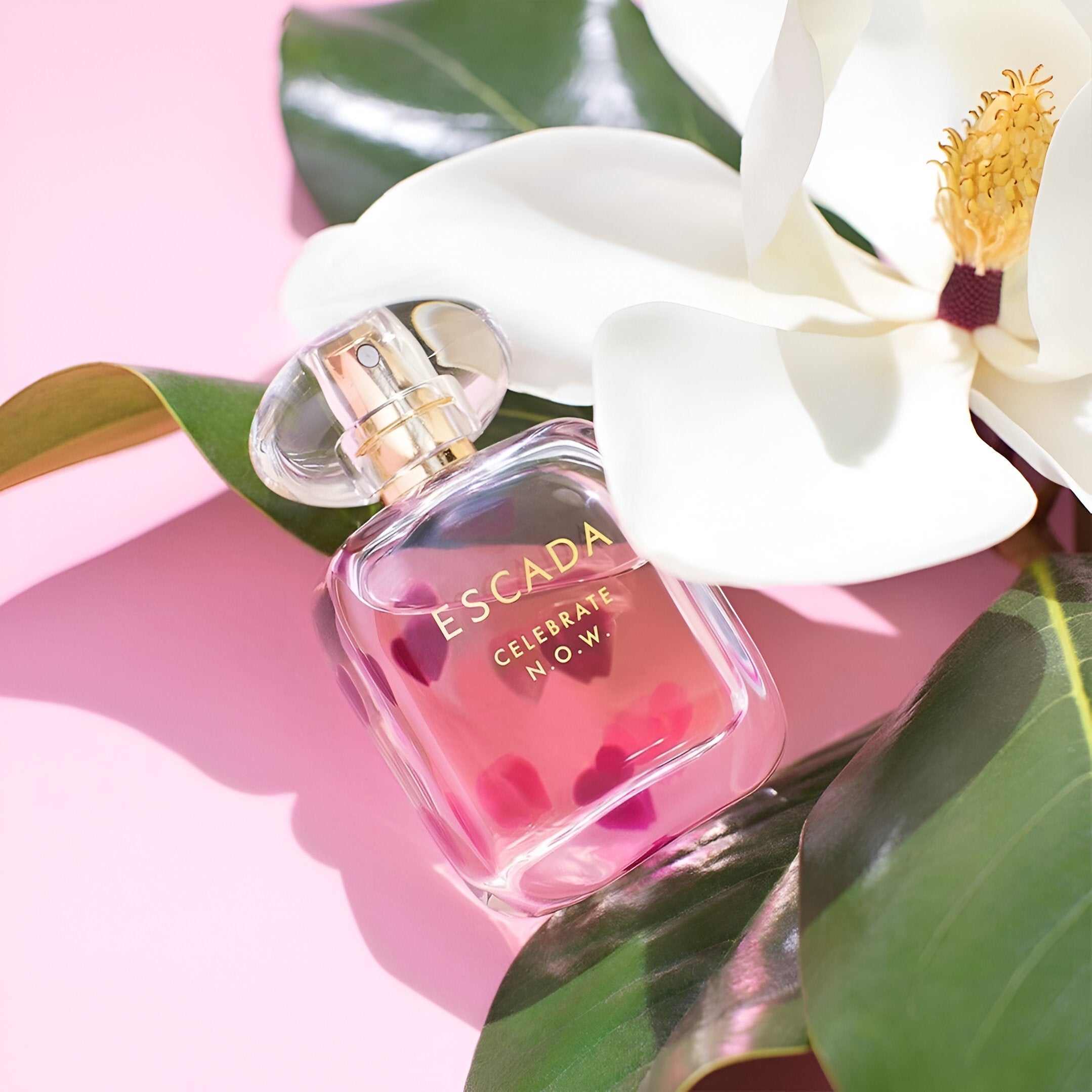 Escada Celebrate N.O.W. EDP | My Perfume Shop