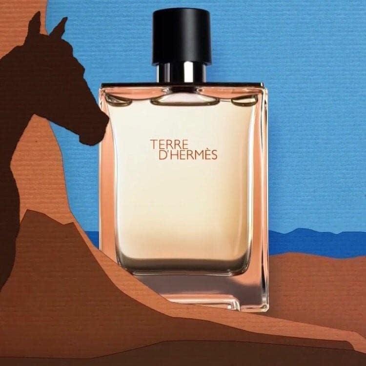 Hermes Terre D' Hermes Aftershave Lotion | My Perfume Shop