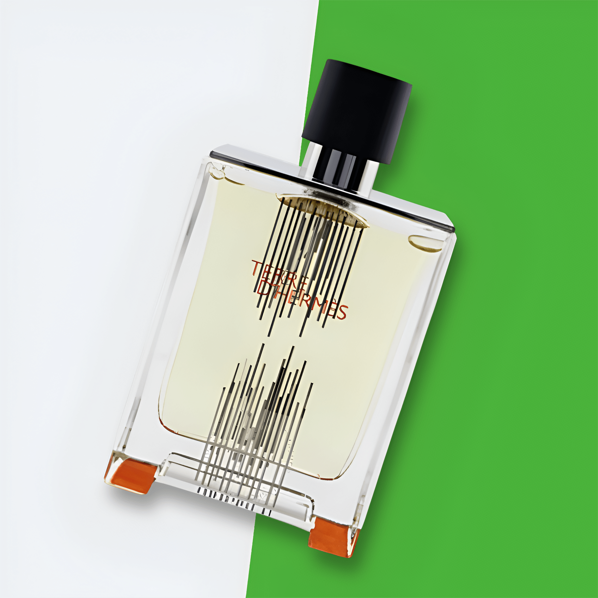 Hermes Terre D'Hermes Falcon H 2021 Limited Edition EDT | My Perfume Shop