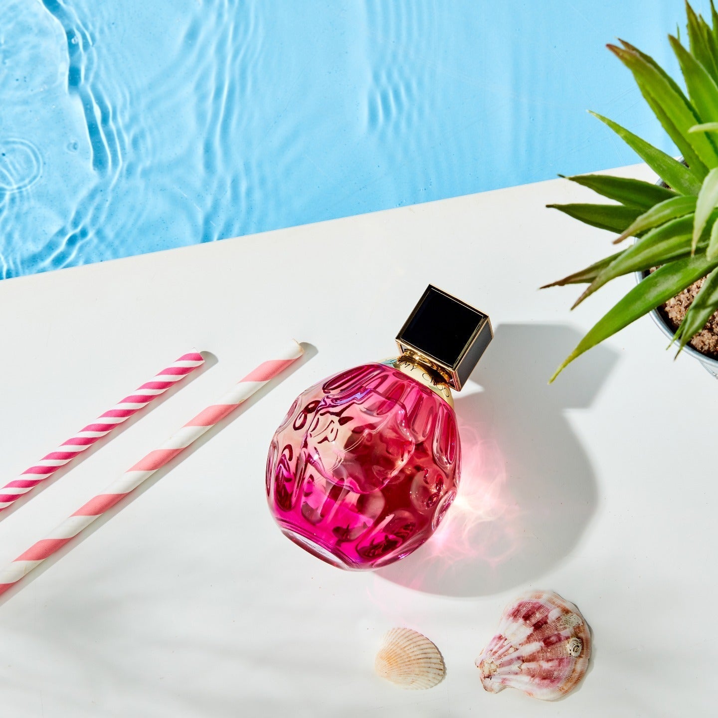 Jimmy Choo Rose Passion Body Lotion | My Perfume Shop