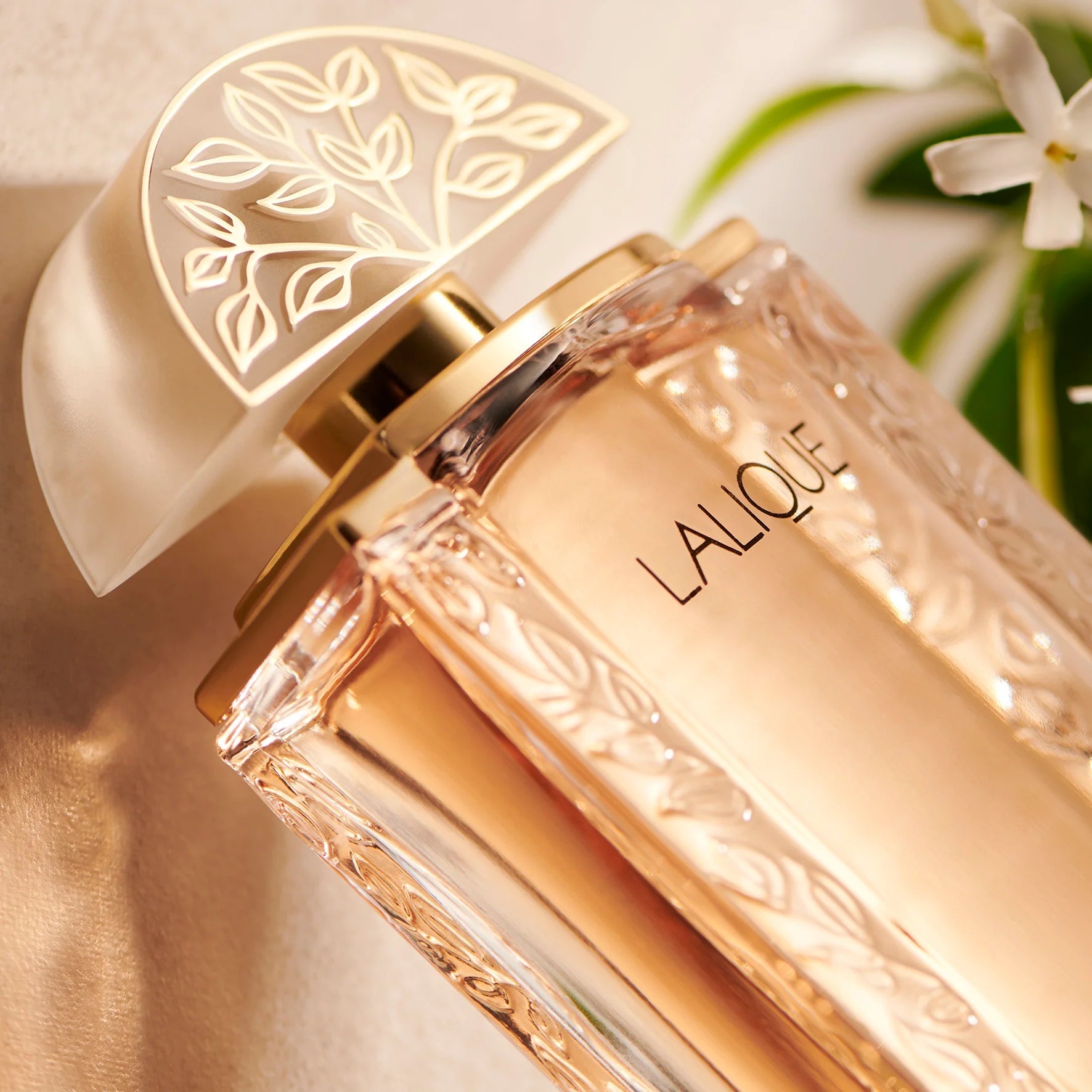 Lalique EDP | My Perfume Shop