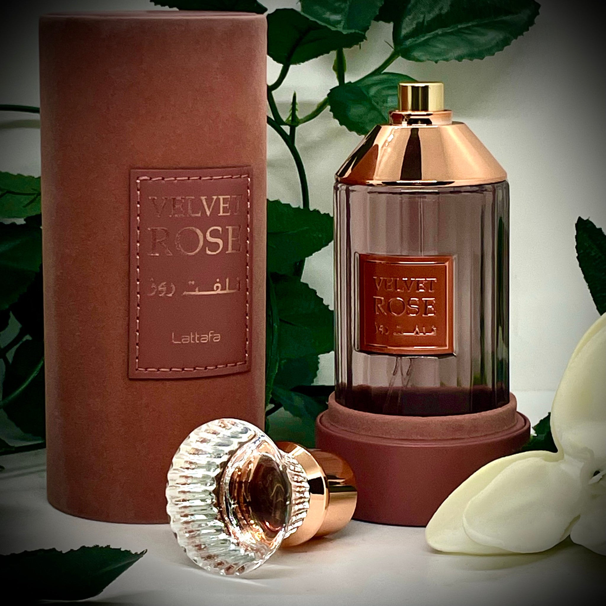 Lattafa Velvet Rose EDP | My Perfume Shop