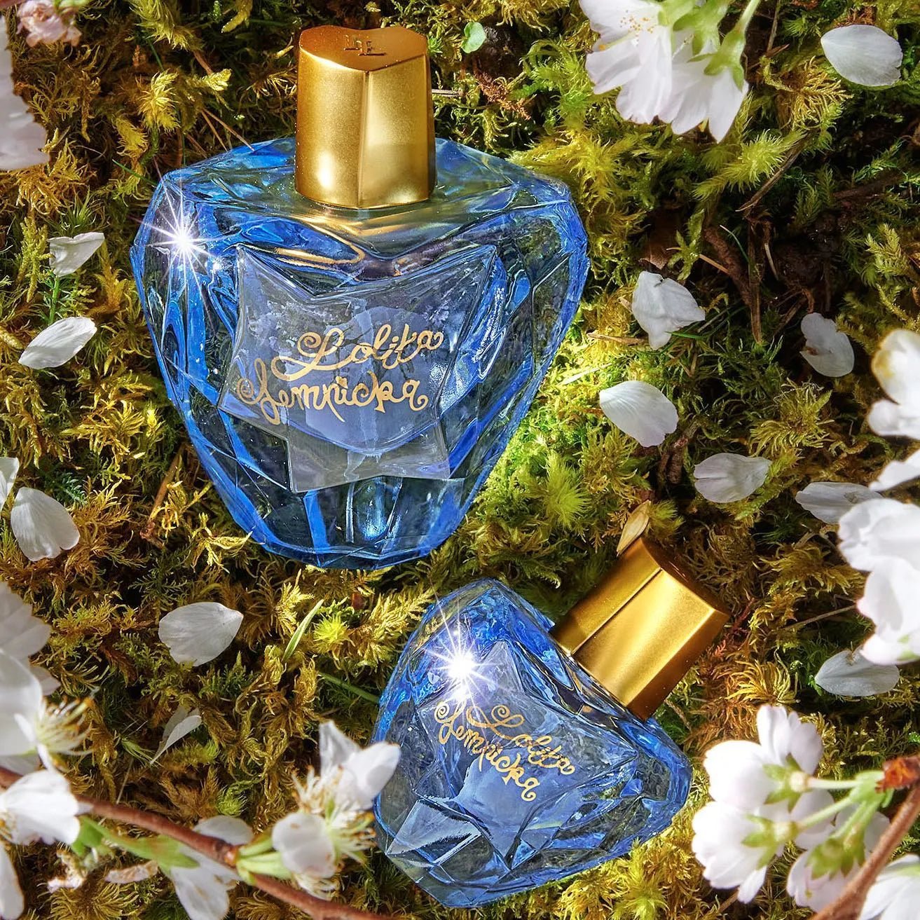 Lolita Lempicka Enchanted Elixir EDP Body Lotion Set | My Perfume Shop