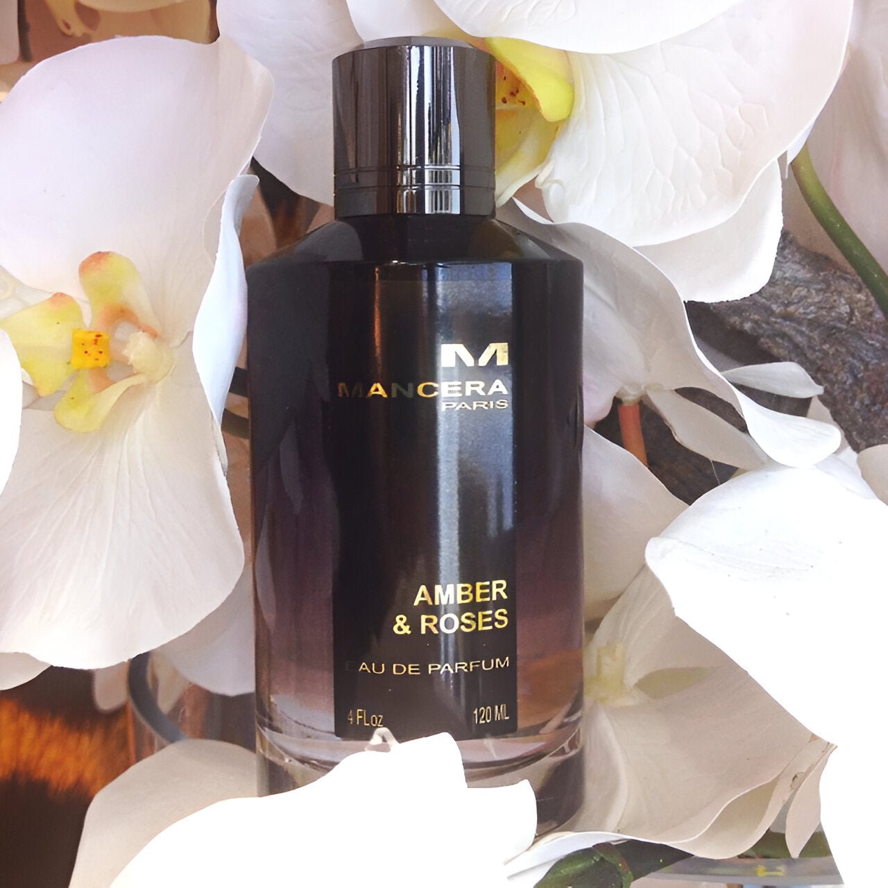 Mancera Amber & Roses EDP | My Perfume Shop