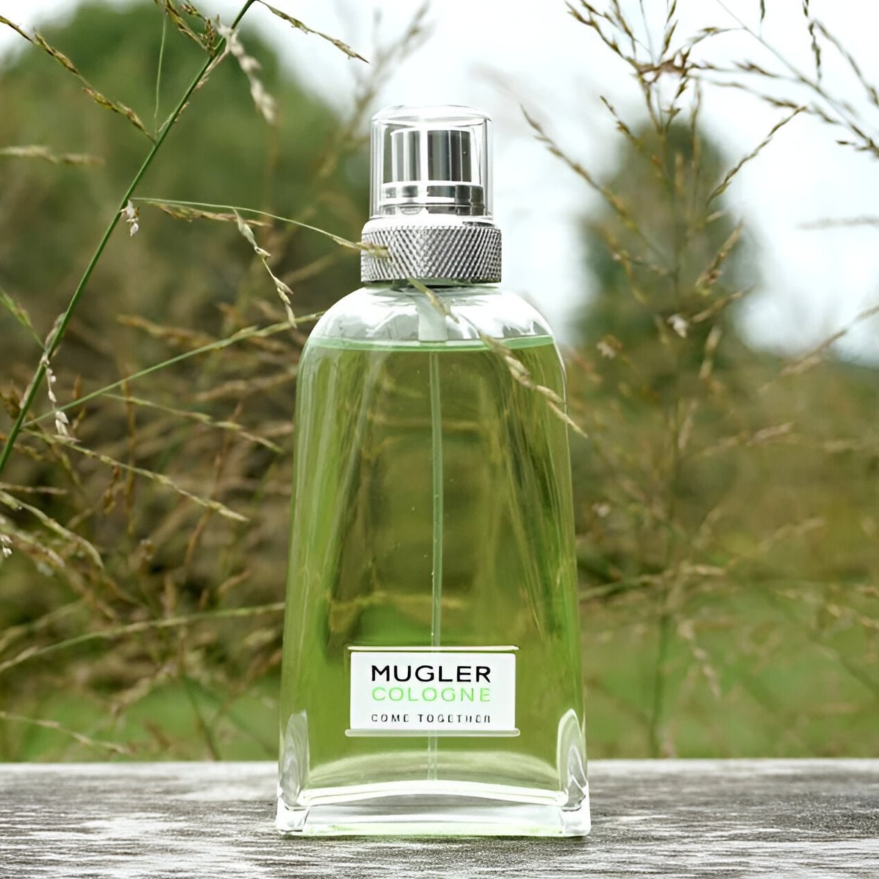 Mugler Cologne Come Together EDT | My Perfume Shop