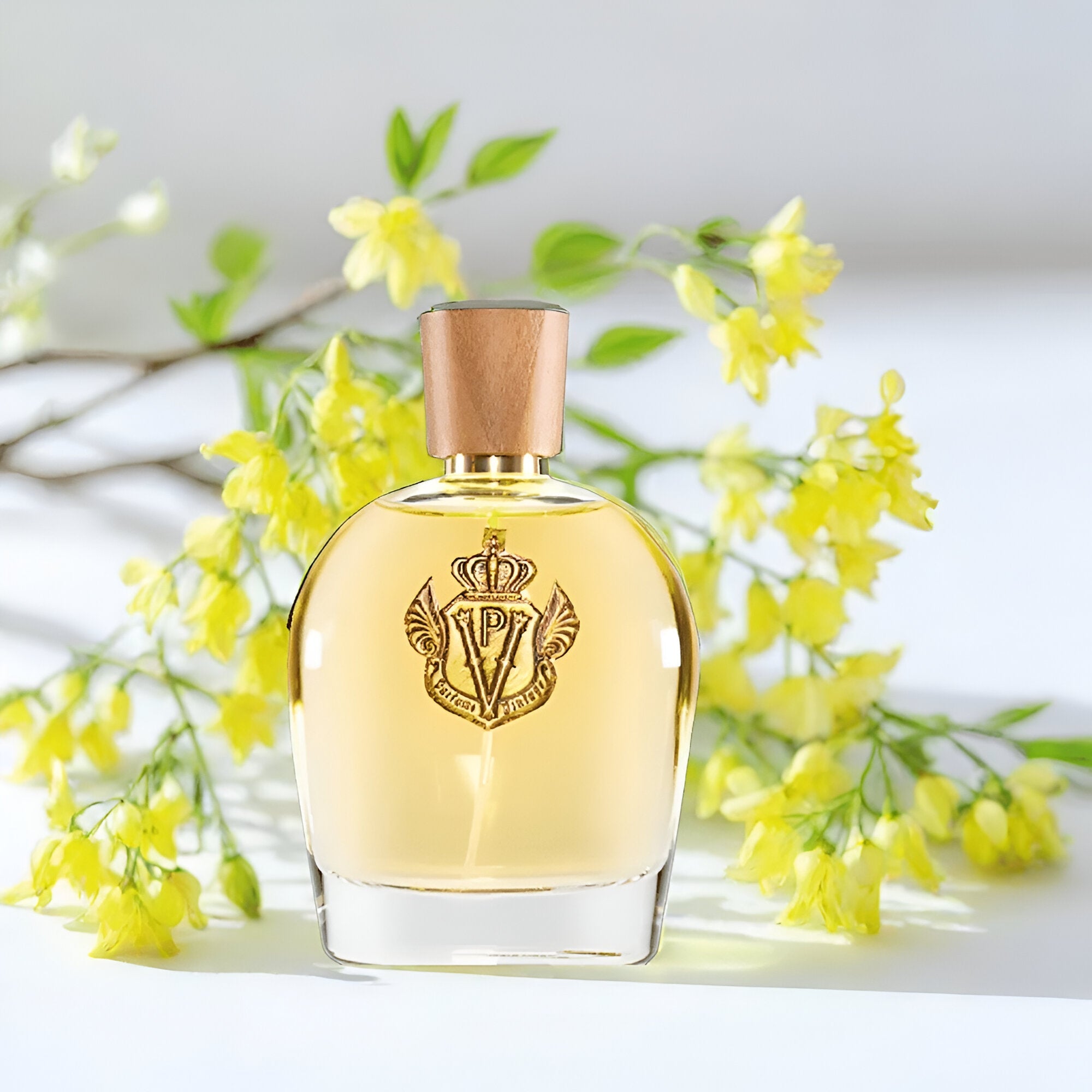 Parfums Vintage Realm EDP | My Perfume Shop