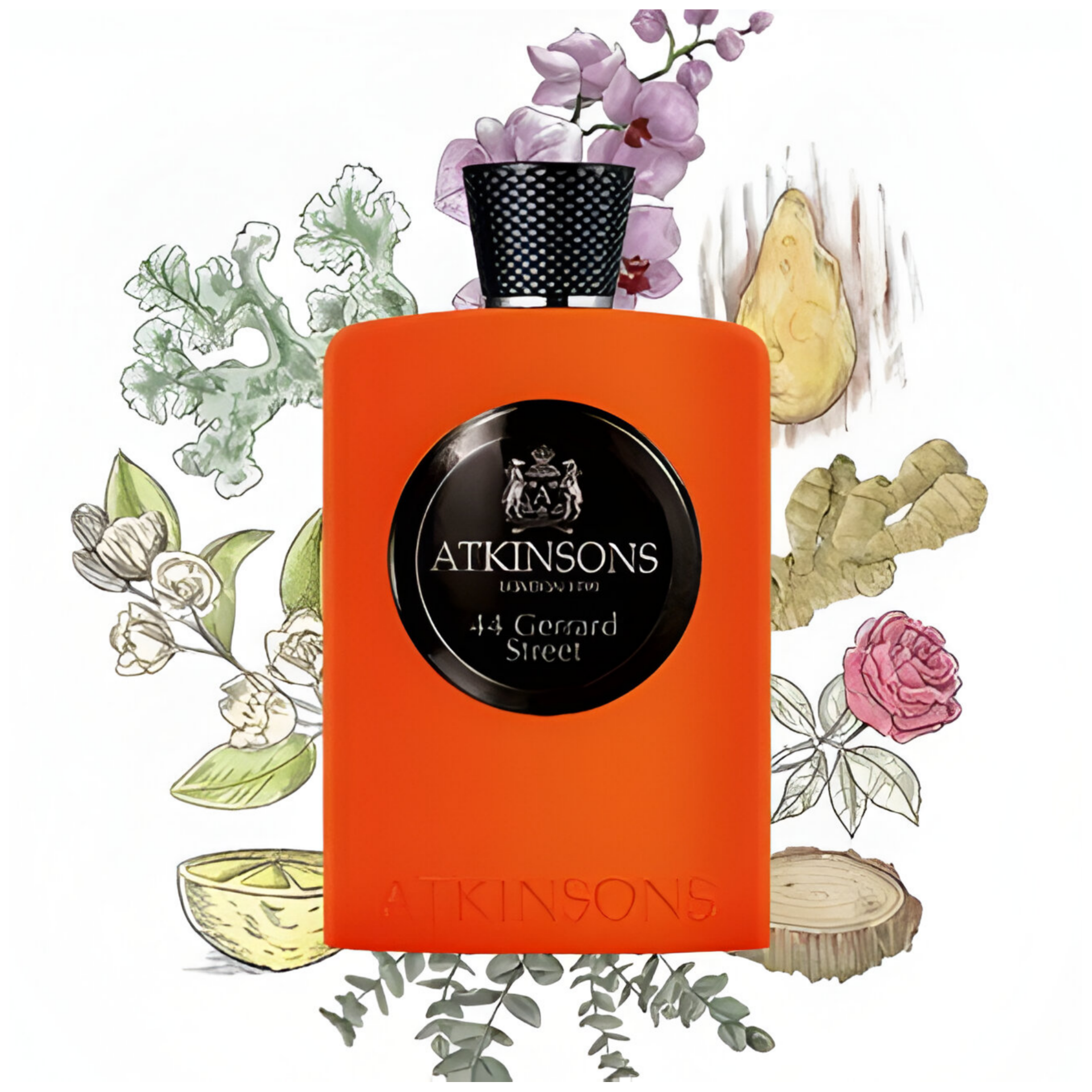 Shop Atkinsons 44 Gerrard Street Eau De Cologne in Australia