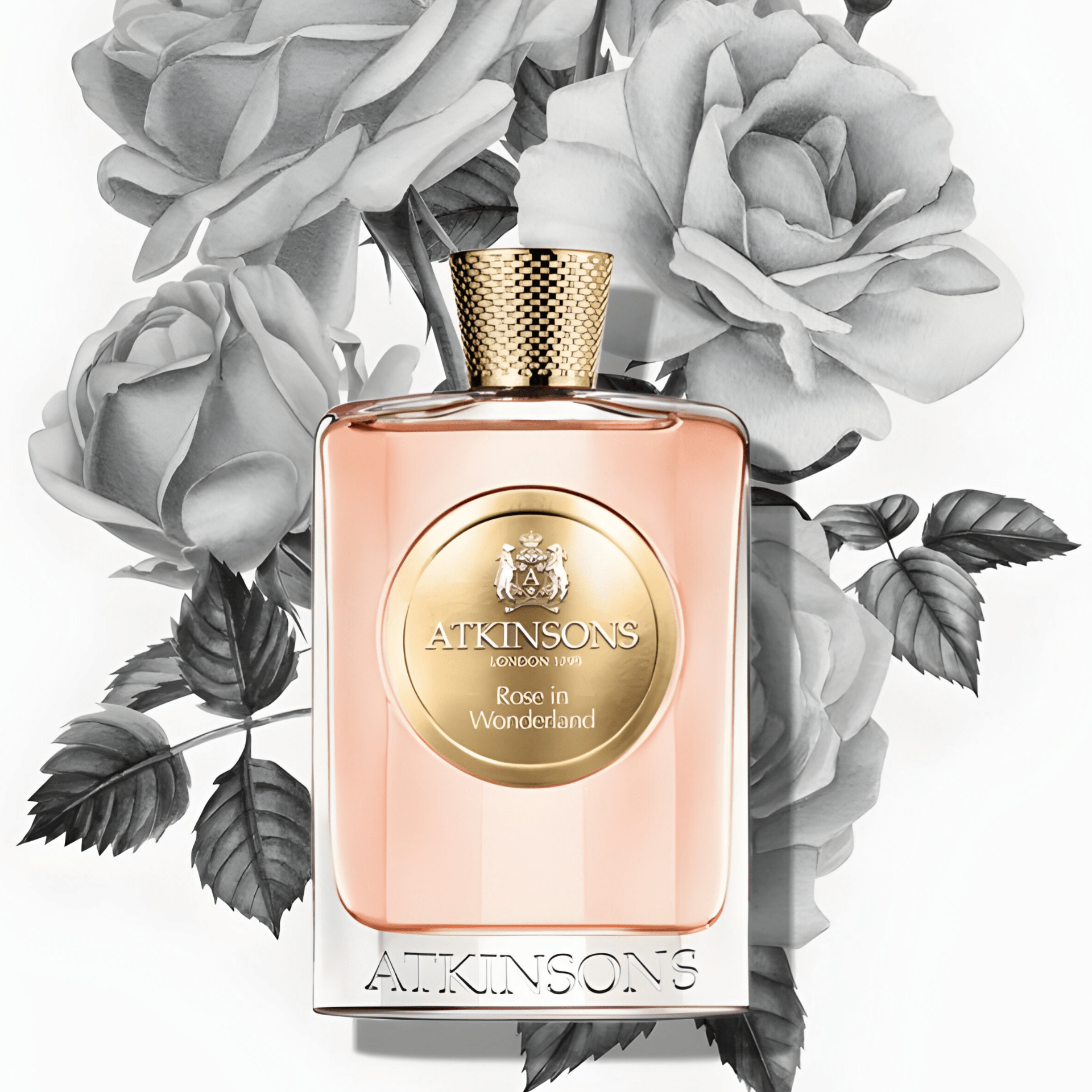 Shop Atkinsons Rose In Wonderland EDP in Australia