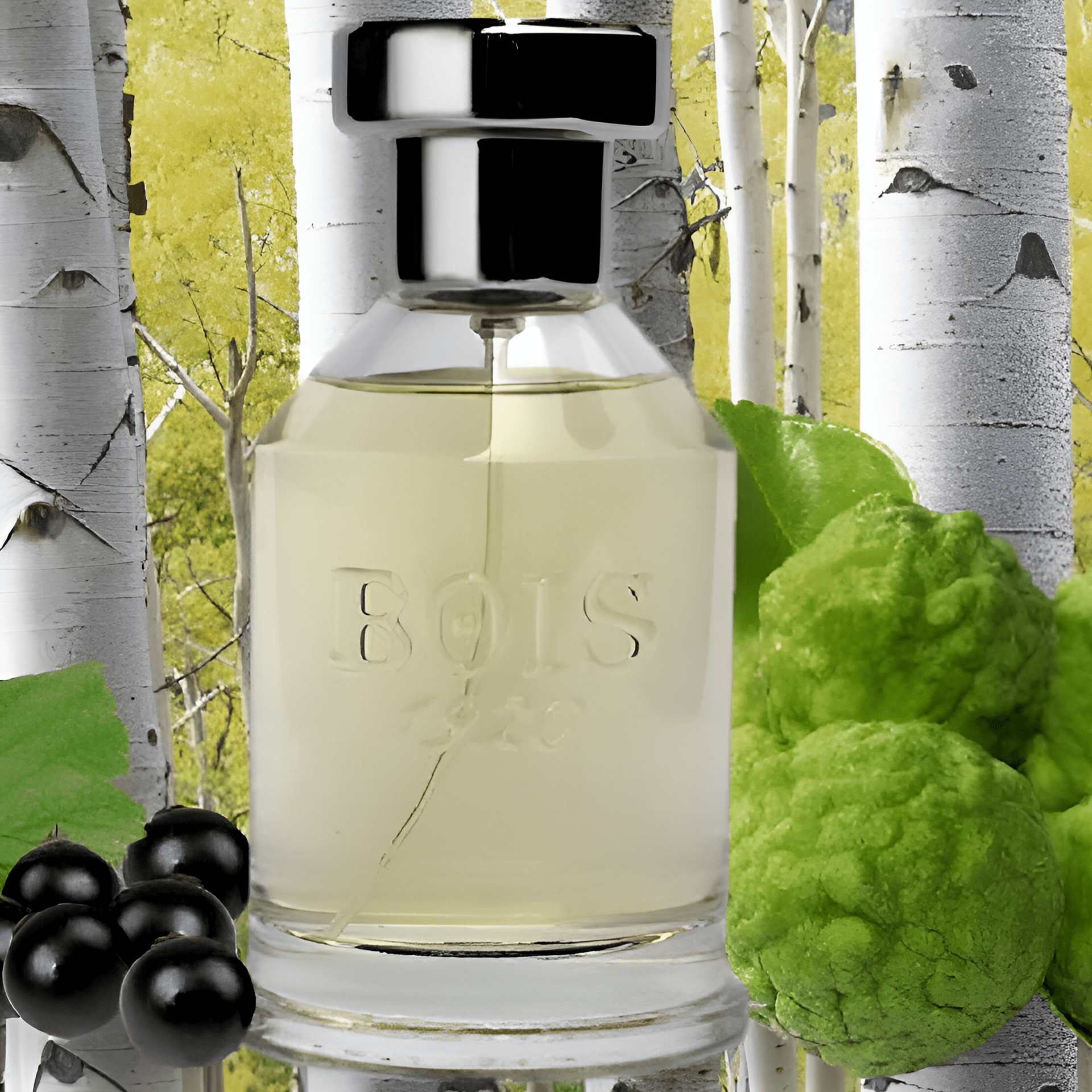 Bois 1920 Parana EDP | My Perfume Shop