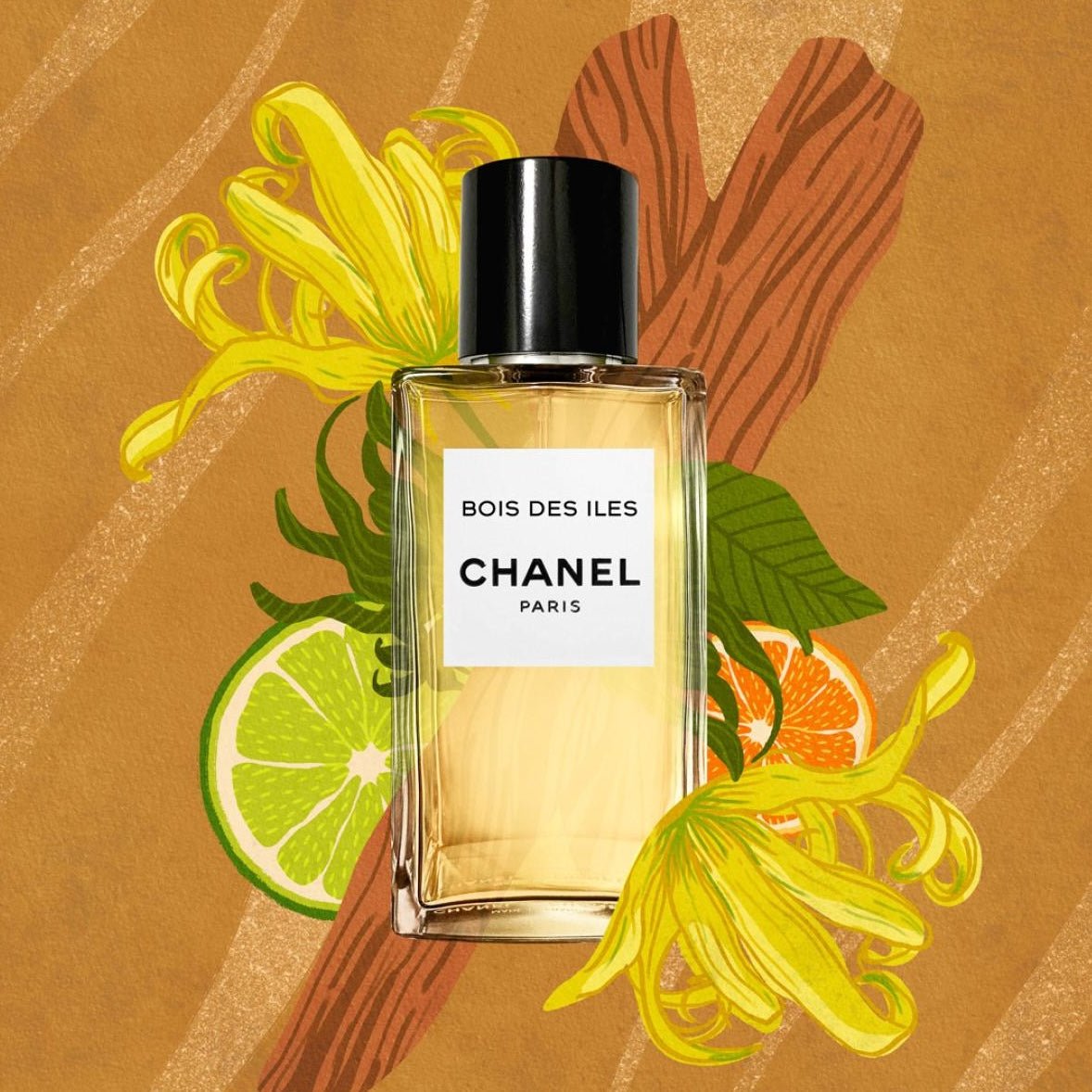 Shop Chanel Bois Des Iles EDP