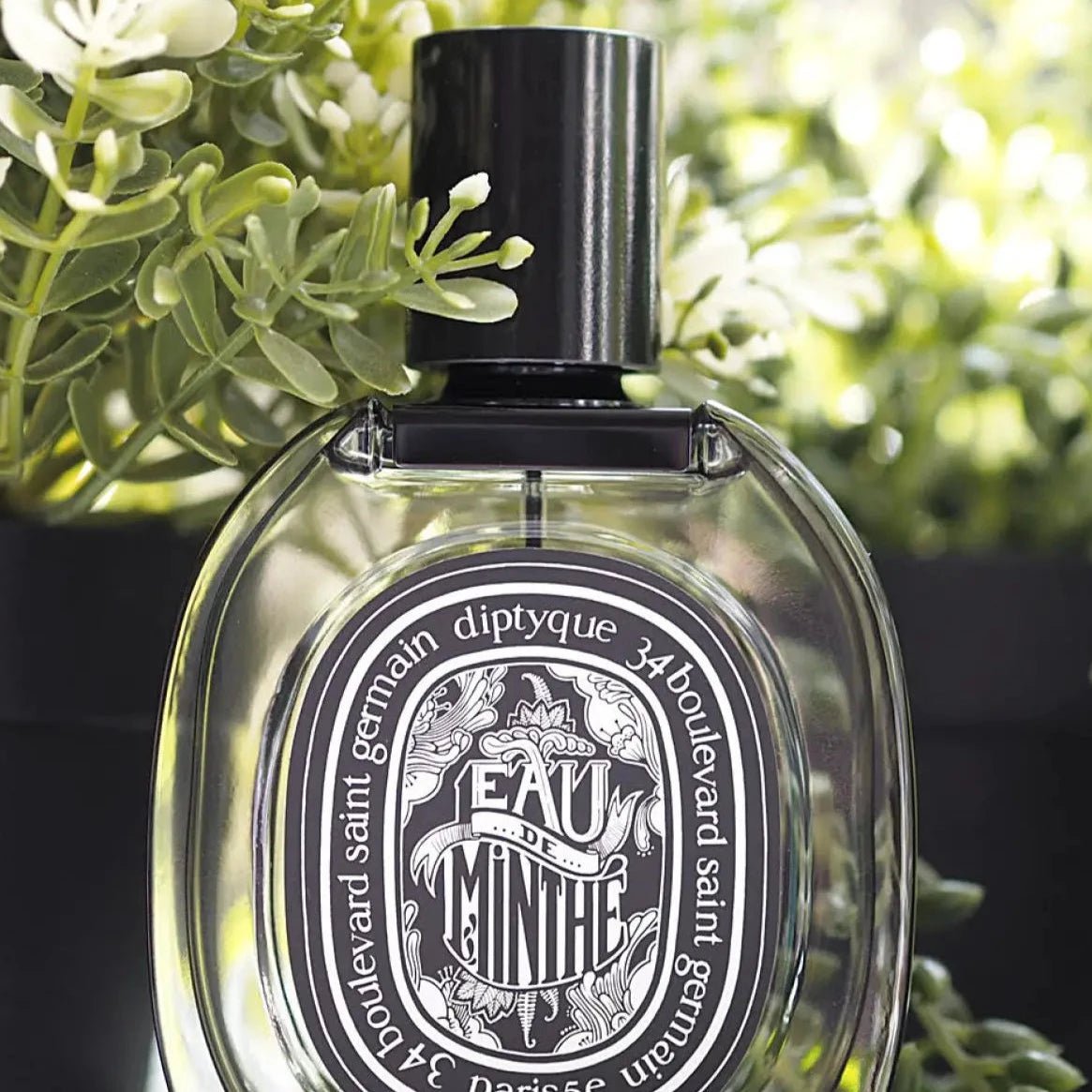 Diptyque Eau De Minthe EDP | My Perfume Shop