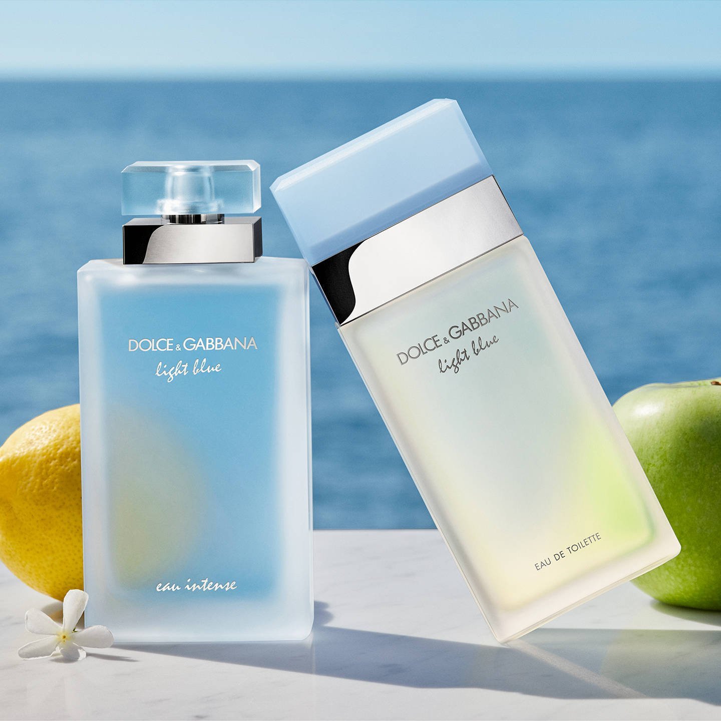 Shop Dolce Gabbana Light Blue EDT For Her in Australia