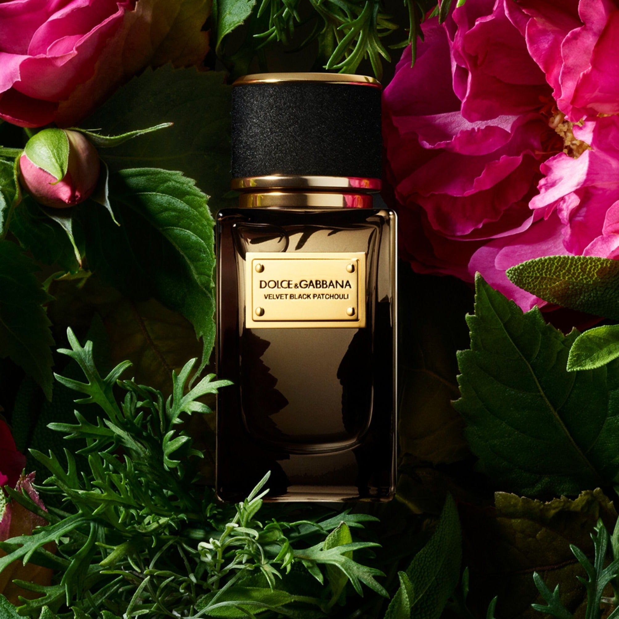 Dolce and gabbana velvet patchouli clearance sample