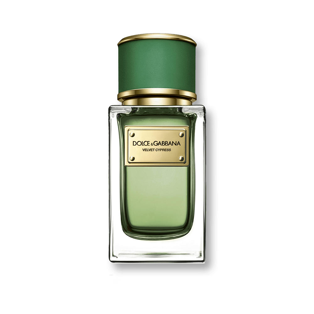 Shop Dolce And Gabbana Velvet Cypress Edp In Australia