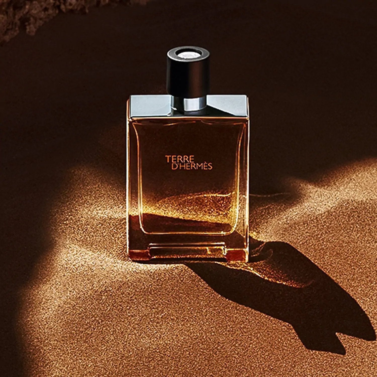 HERMÈS Terre d'Hermes EDP - My Perfume Shop Australia