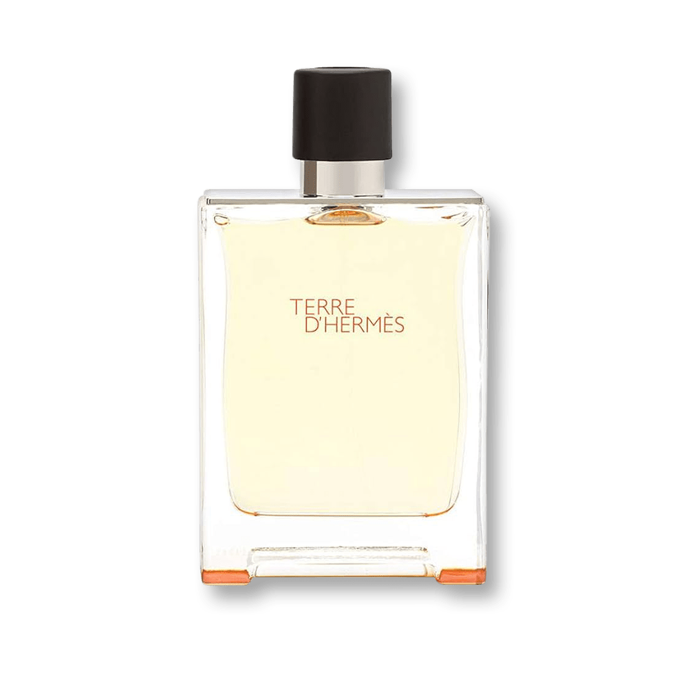 Shop Hermes Terre D'Hermes Delux Replica EDT