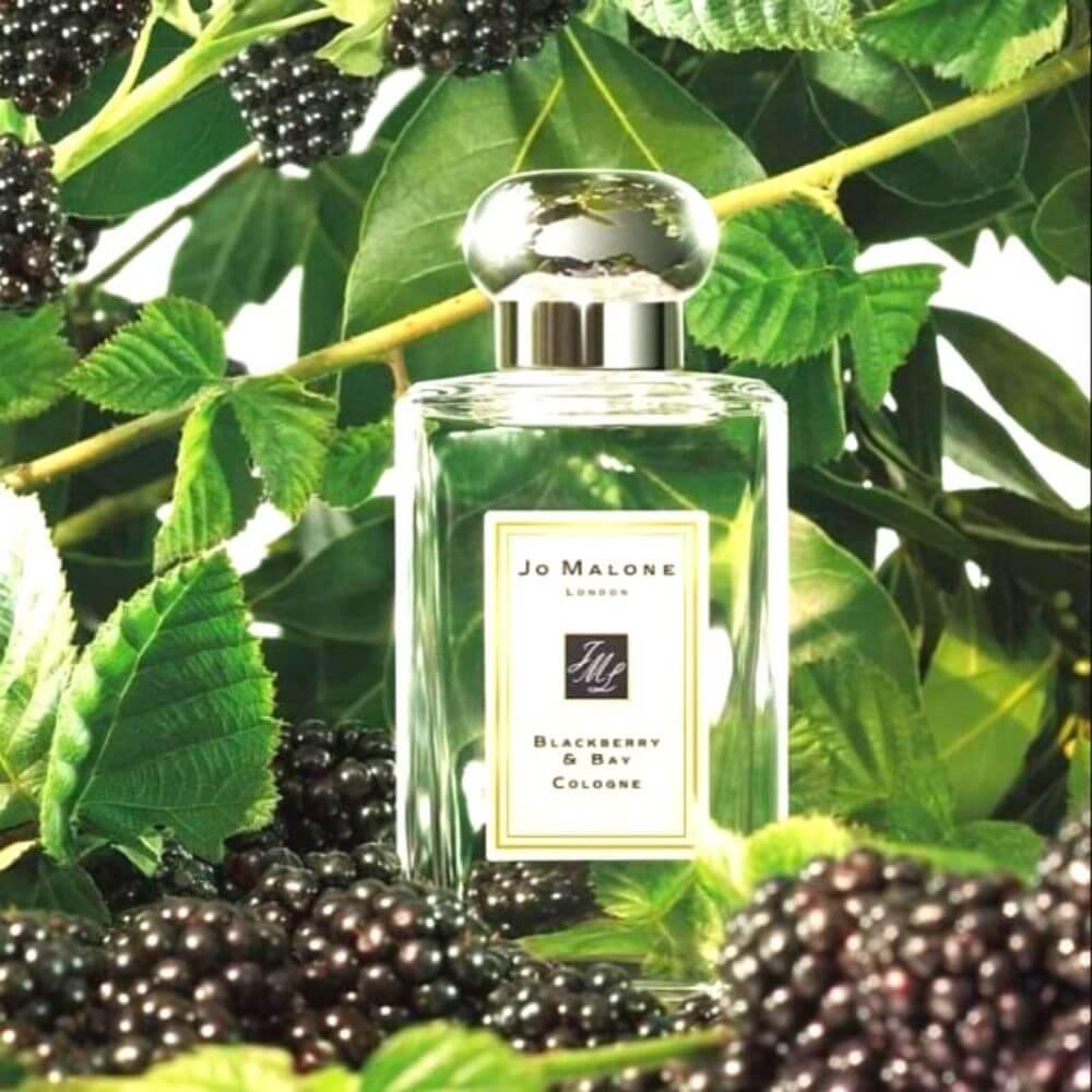 Jo Malone Blackberry & Bay Cologne | My Perfume Shop