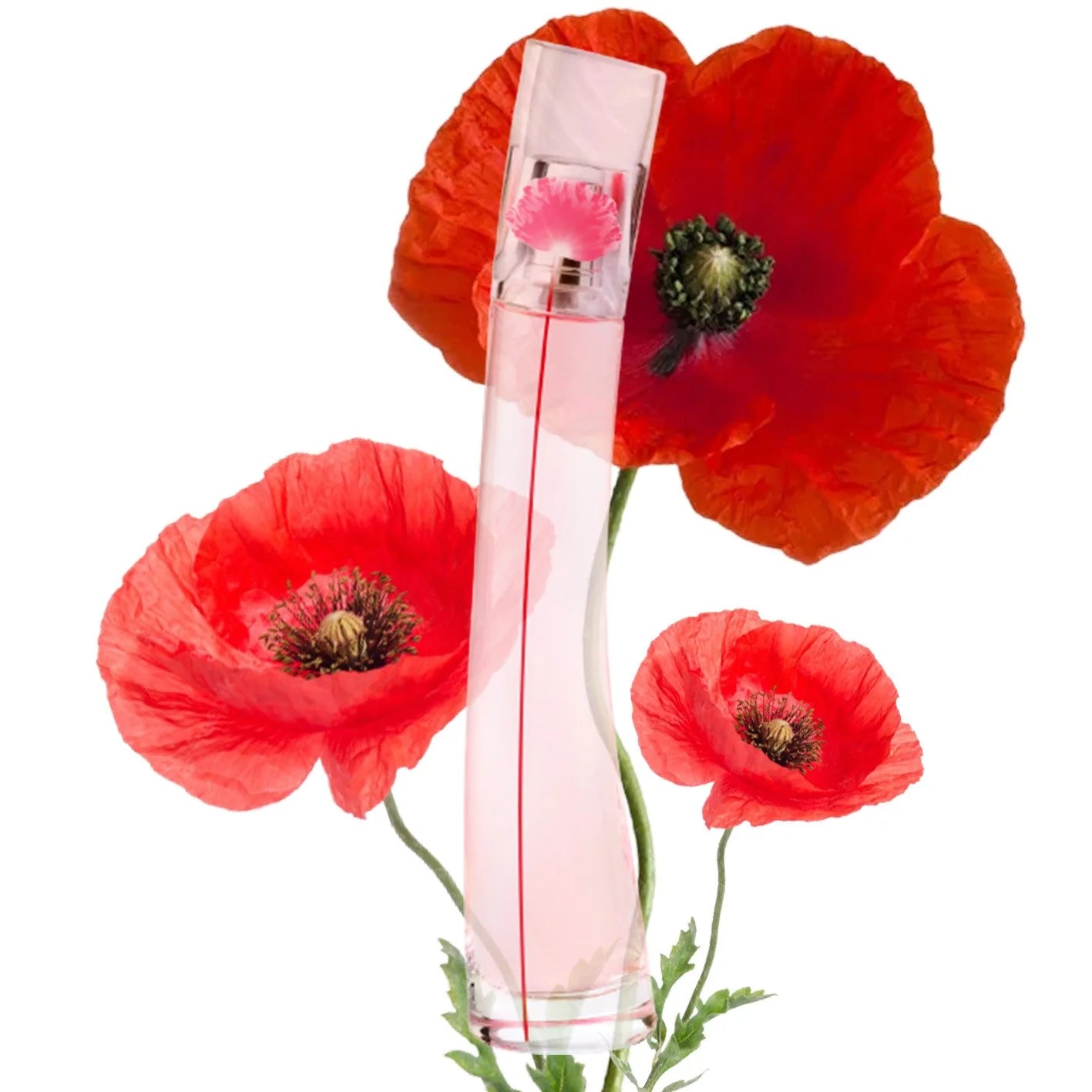 Kenzo Flower by Kenzo Poppy Bouquet EDP Florale Duo Set | My Perfume Shop