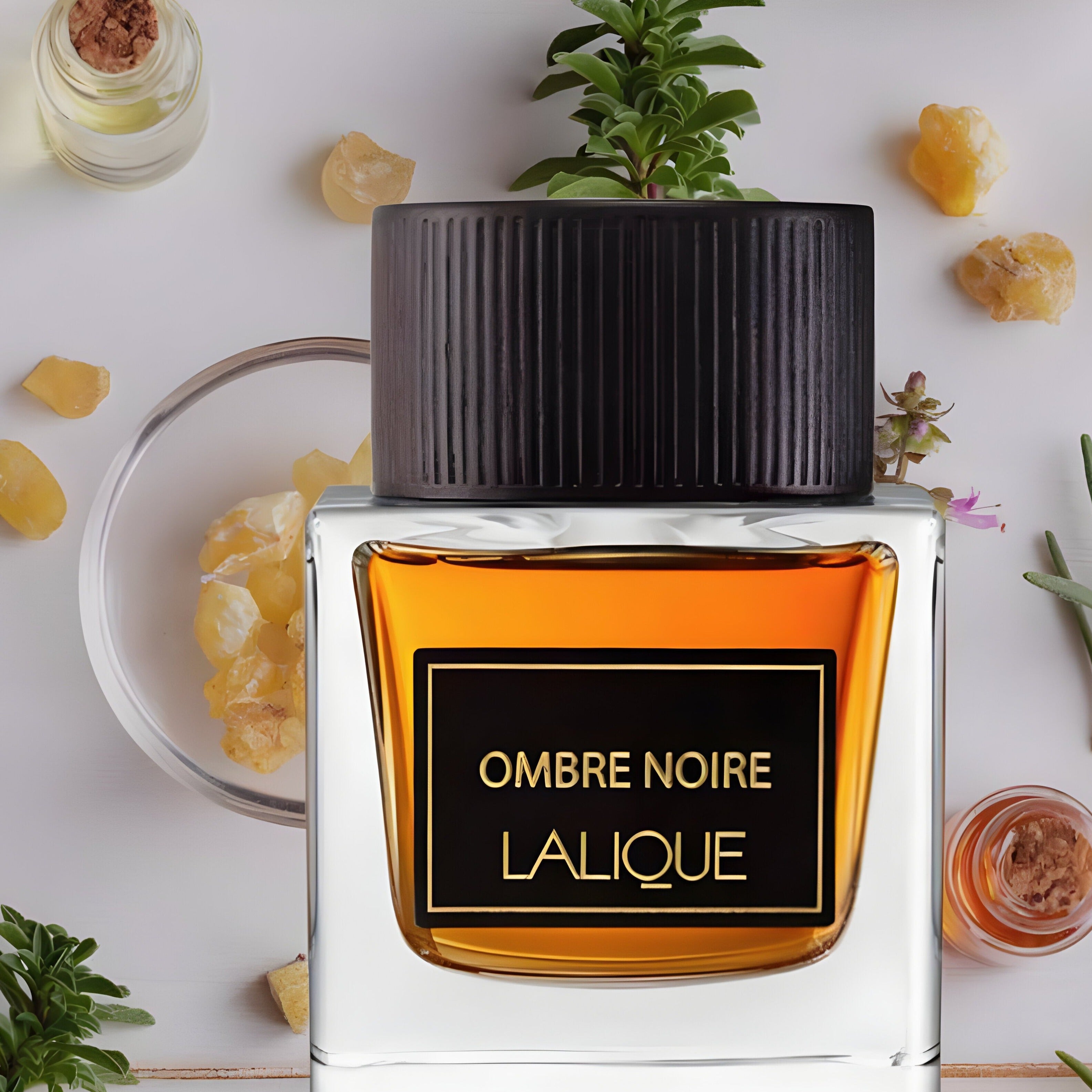 Shop Lalique Ombre Noire EDP For Men in Australia