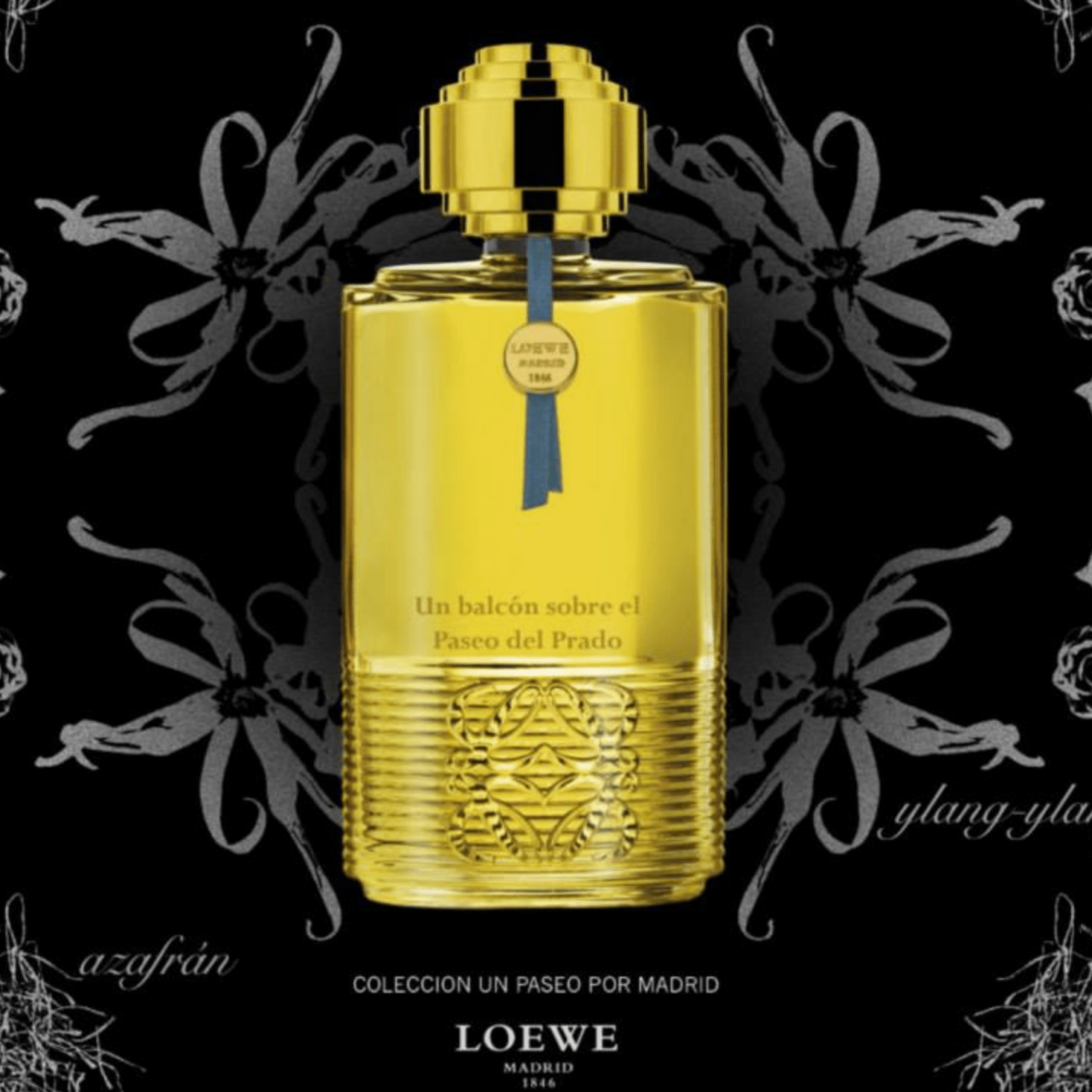 Loewe Un Balcon Sobre El Paseo Del Prado El Paseo Del Prado EDP | My Perfume Shop