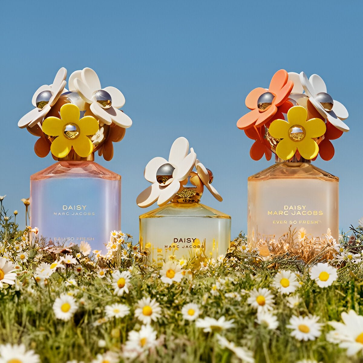MARC JACOBS Daisy Delights Fragrance & Body Care Set | My Perfume Shop