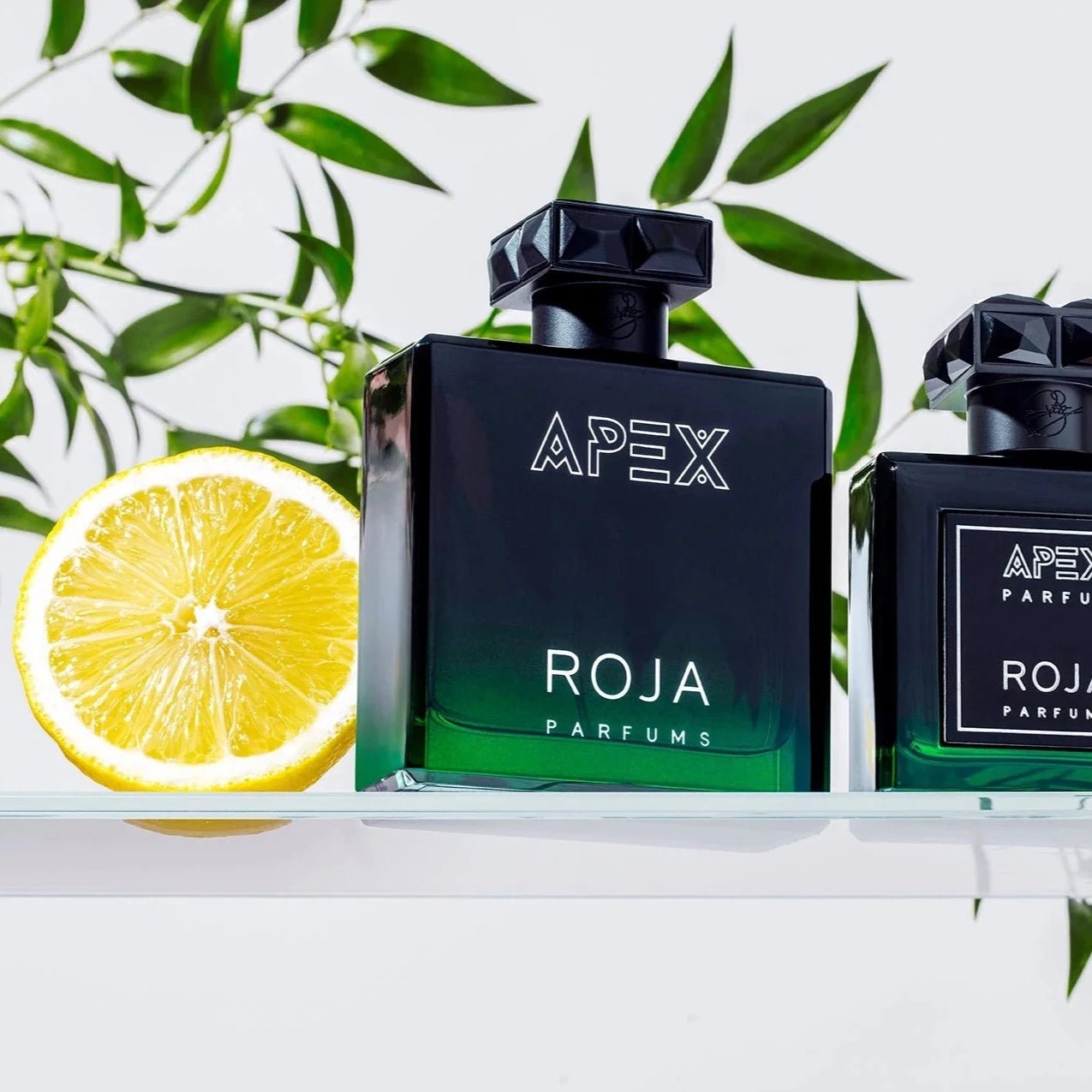 Roja Parfums Apex EDP