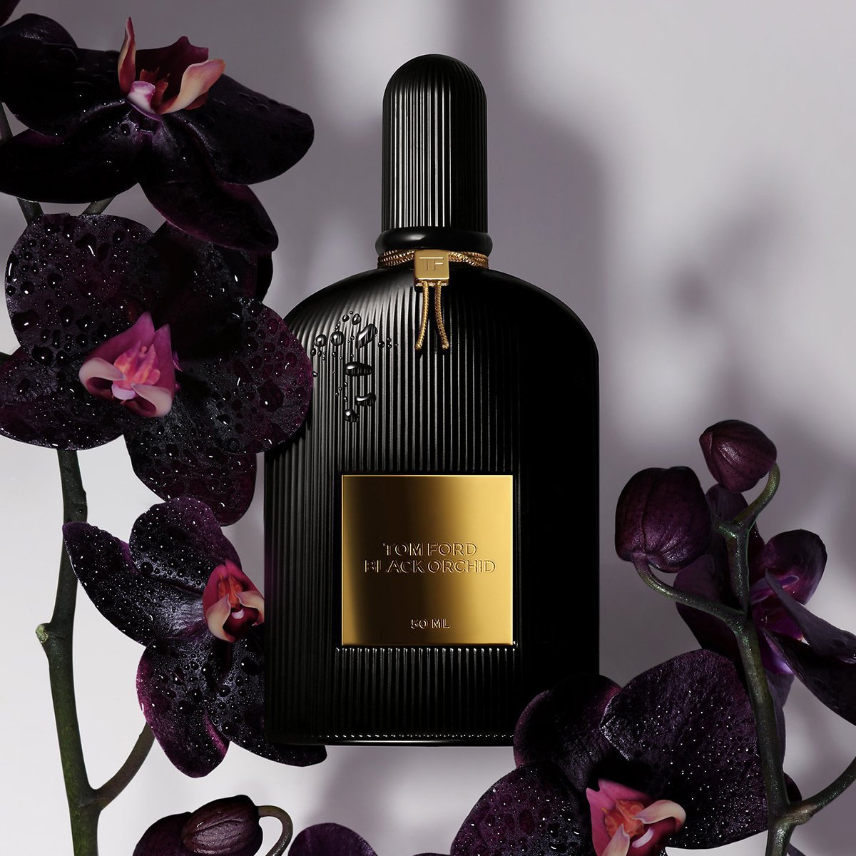 Buy TOM FORD Black Orchid EDP | My Perfume Shop Australia