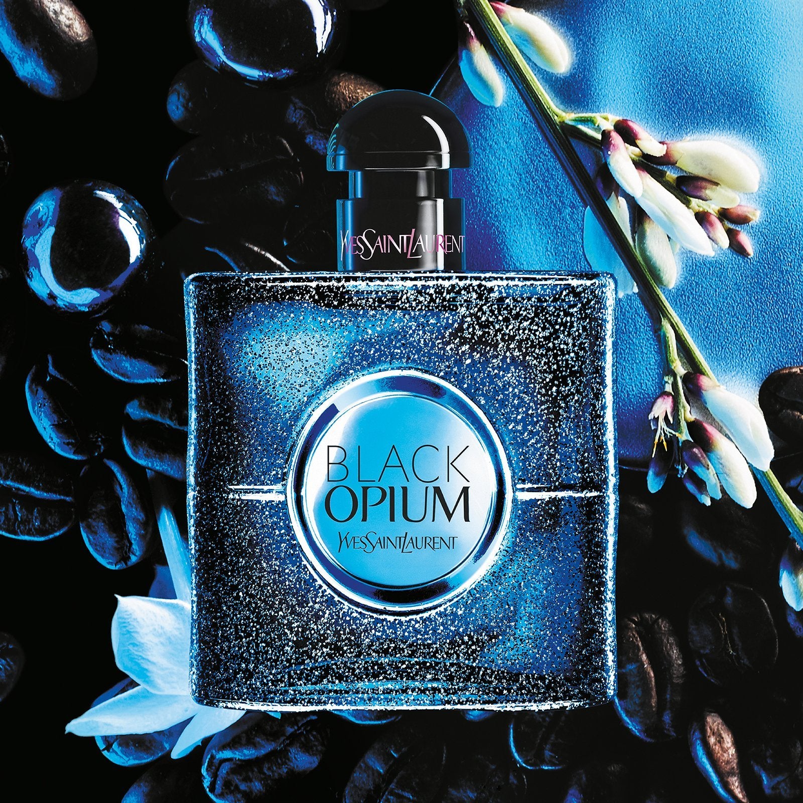 Black opium perfume afterpay Clearance
